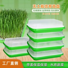 ��ѿ�lѿ��������������Pѿ����̨�Nֲ�߲˷N�ˌ�����N����