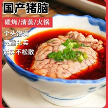国产新鲜猪脑花猪脑批发鲜冻火锅食材烧烤商用半成品8幅4副96副