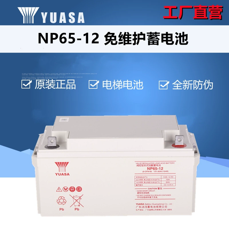 ，NP65-12，（），12V，65AH，EPS