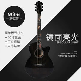 乐器配件;弹拨类乐器;乐器箱包