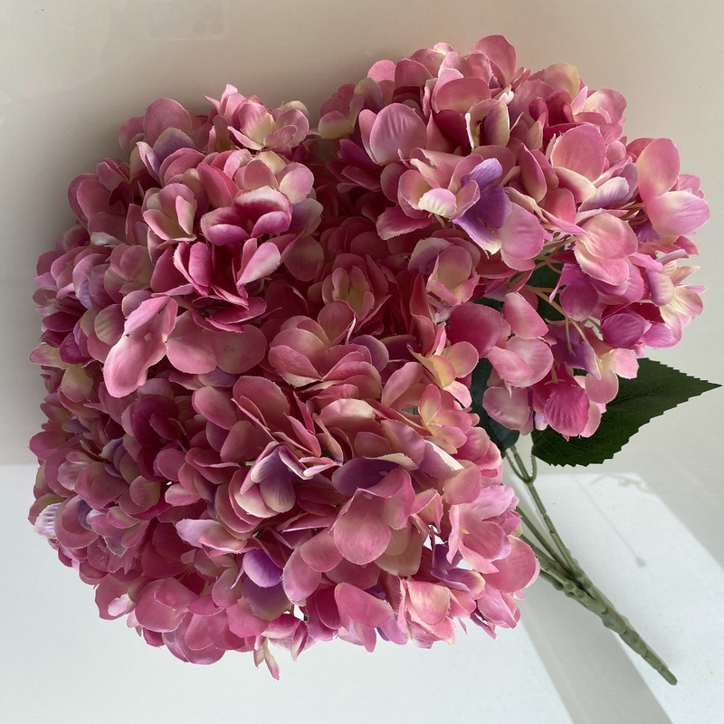 毛布5頭のフランスのアジサイは、ホテルの結婚式の生け花を飾って多色のアジサイの花の花束を卸売りします。|undefined