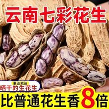 2025���»������߲ʻ���ţ�̻�������������������ɹ��������