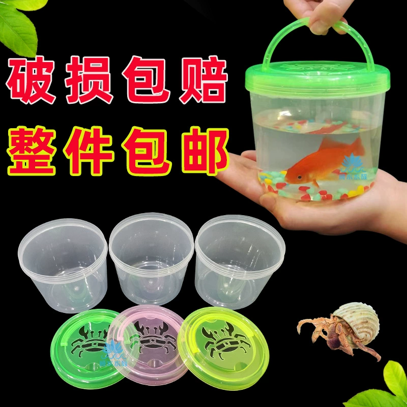 Портативный маленький аквариум, пластиковый террариум для черепах, дышащий контейнер для животных, чаша для рыбок бетта, ударопрочный контейнер для черепах, ведро для крабов, ведро для ловли рыбы оптом