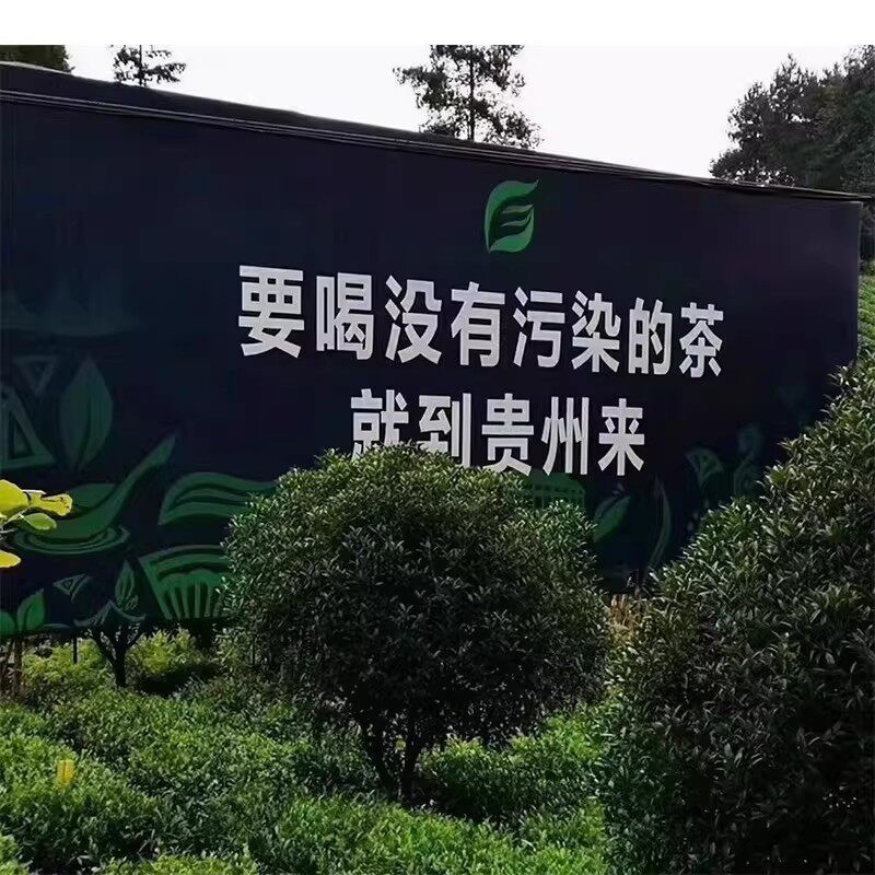 Fermented Small Leaf Kuding Tea Tender Buds Guizhou Yuqing Bitter Tea Loose Leaf 175g overview