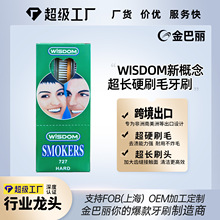 WISDOM��ó��W727��ˢͷ��ˢӲë12֧װ�ߵ���ˢ�羳��Դ���ݳ���