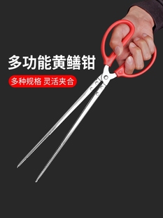 Stainless steel eel clip eel clip fire tongs garbage clip loach crab pliers non-slip catch lobster driving tools
