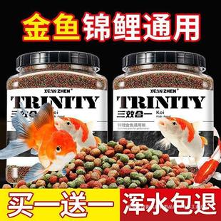 Koi Fish Feed Fish Food Carp Special Small Particle Goldfish Feed Ornamental Fish Color and Floating Universal Fish Food