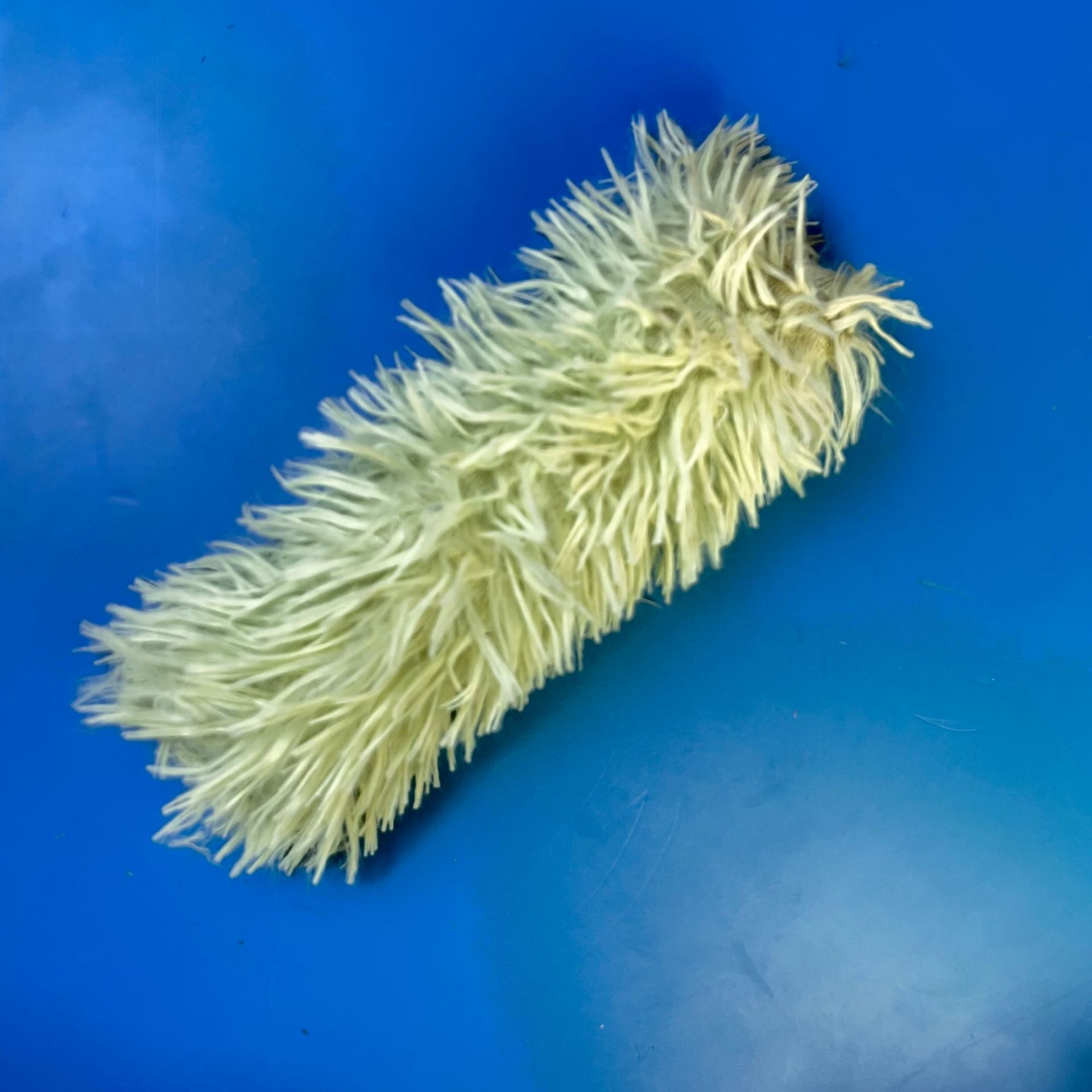 Juguete de Peluche con Hierba Gatera para Gatos Resistente a Mordeduras