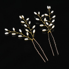 �羳؛Դ����l͹ŚW���ֹ�������~����U�ΊA��ᘰl�������