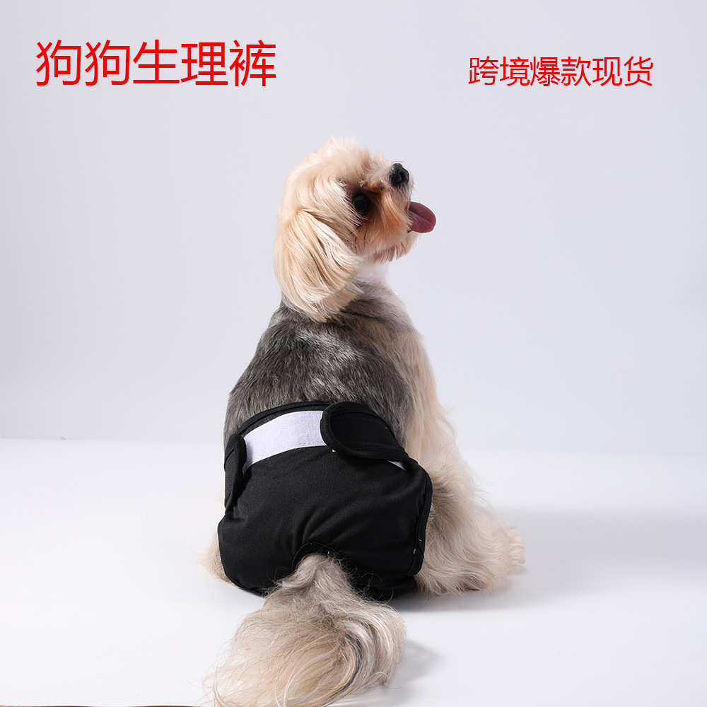 Pantalones para perros, pañales a prueba de fugas, pañales de seguridad para perros, artículos para mascotas, orinales sanitarios
