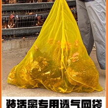 �b���ݵľW���W��С�W�����ϰ��b���b���u�������Ͼ����� �W����