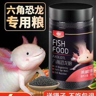 Hexagonal Dinosaur Fish Feed, Salamander Small Particle Fish Food, Household Benthic Fish Sinking Material Bait, Baby American Salamander