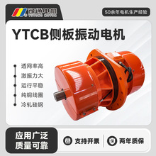 YTCB侧板振动电机三相380V法兰式震动激振脱水筛振打器纯铜绕组