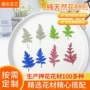定制植物写真天然标本