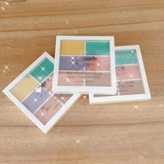 N六色のコンシーラー盤の6色のコンシーラーの修容盤はニキビ印の暗い目の周りの赤い血の糸を覆います。