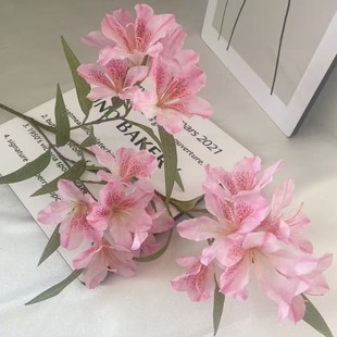 ���S���l�羳���u������N���͏d�ҾӾƵ��Y�@�ֲ�������ٻ�