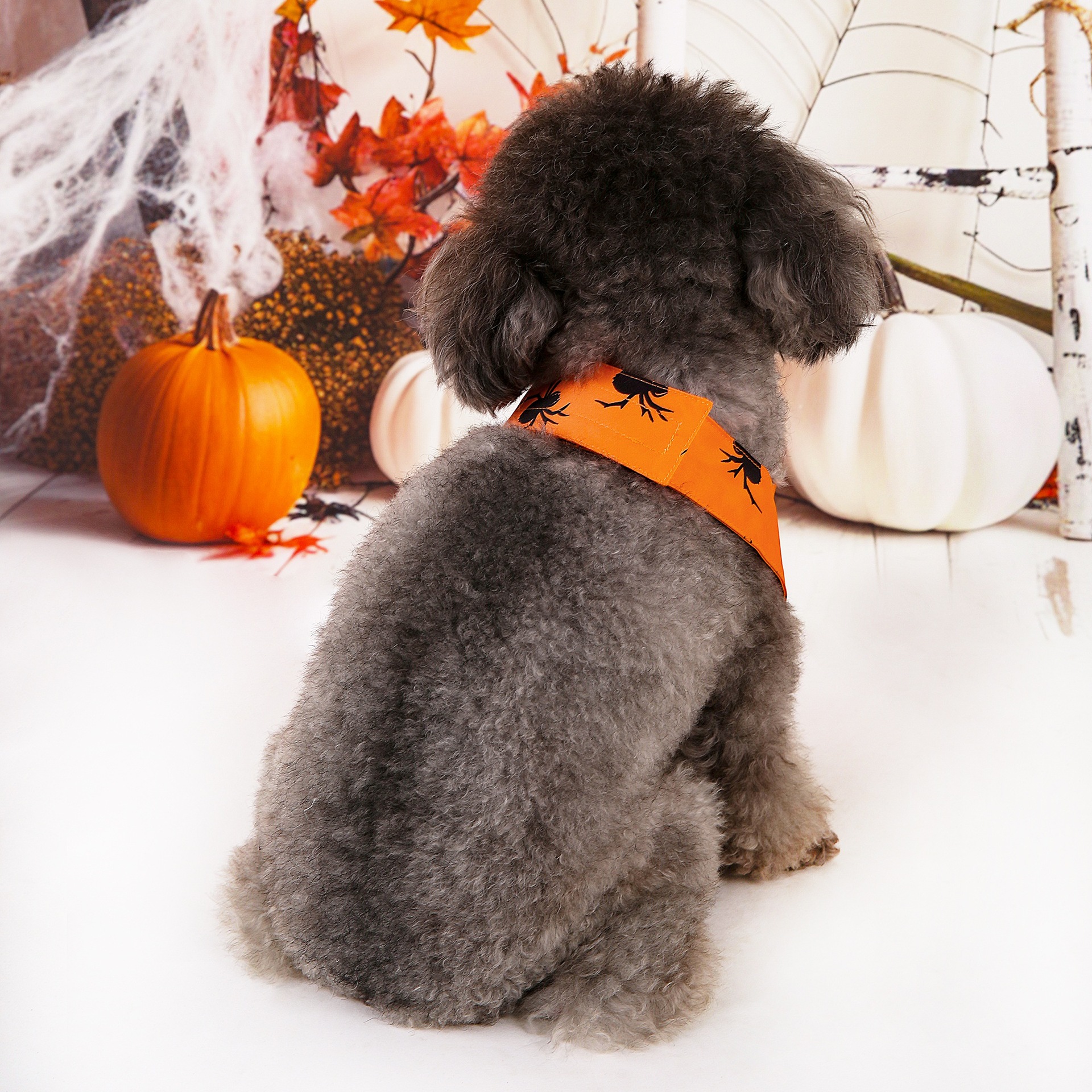 Halloween nuevo traje de mascotas toallas triangulares toallas de saliva collar de mascotas fábrica de ropa de perro en stock