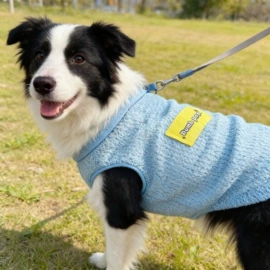 狗狗服装;猫猫玩具;宠物围巾