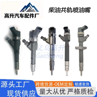 Oil pump, nozzle injector 0445120008 nozzle suitable