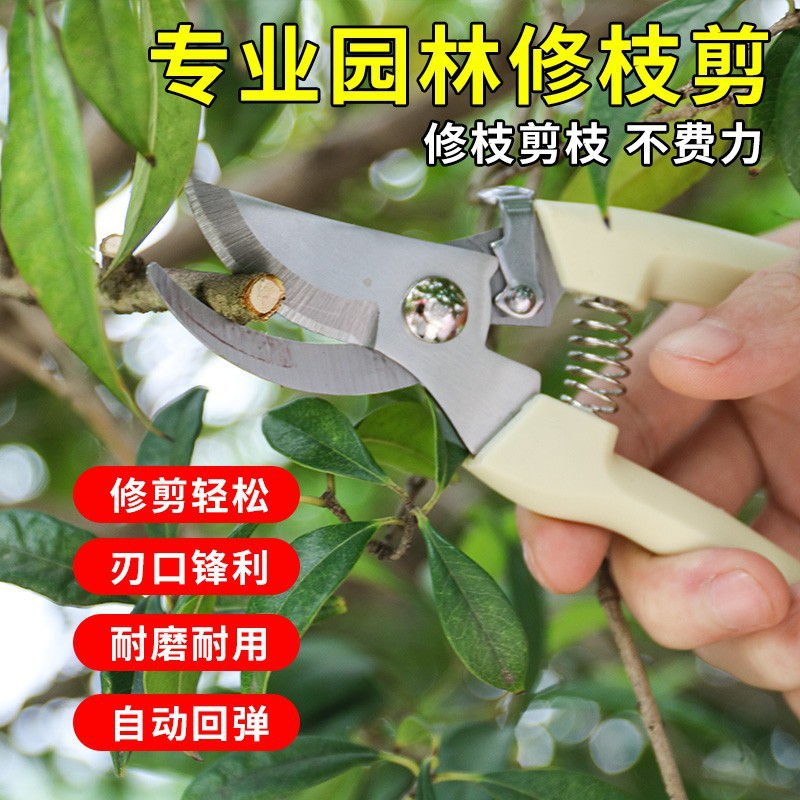 园艺剪修枝剪花剪园林剪省力锋利花艺剪剪树枝果树剪刀花粗枝剪子