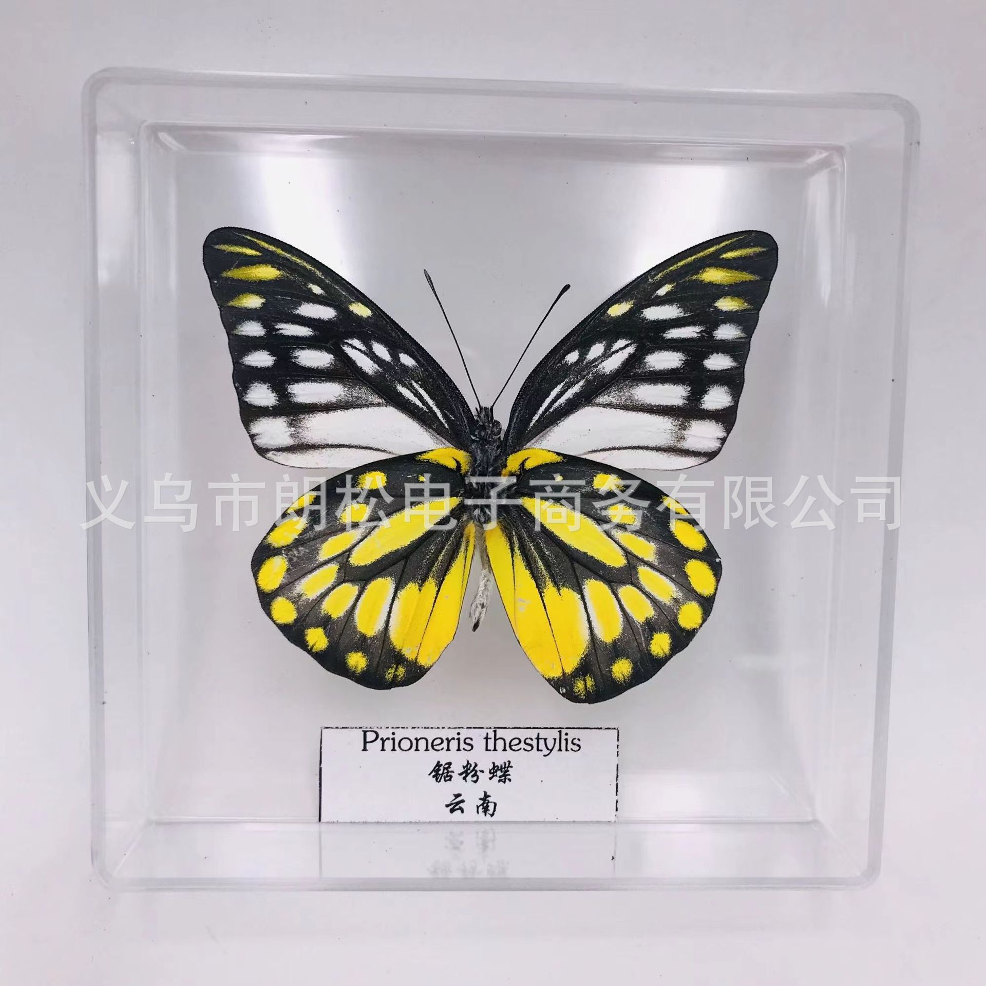 3425cc13eade301566e81226d5227a