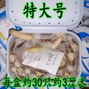 �������x�����x���x ���x �����x���w  �����B��ʳ�B��Ϟ�����x