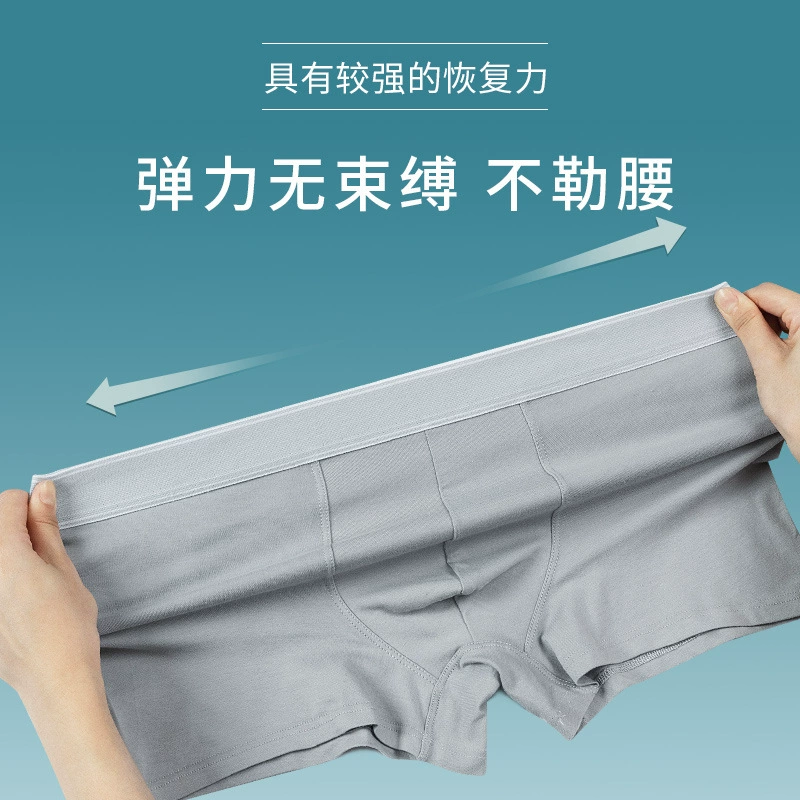 Cotton underwear, trousers, shorts, mid rise
