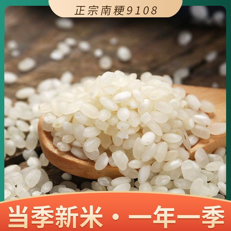 興化米 2023 江蘇省 10kg 新米 5055 南京 9108 ソフトワックス 5kg 夜もち米|undefined