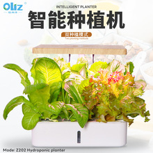 �W�֝�ˮ��Nֲ�C�߲˷N�˙C�o�������҃�ֲ�������Ի����ͥ�@ˇ