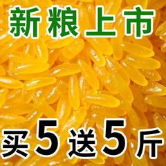 本場東北黄金米 新米 本場黄金米のお供 穀物専門 黄色米卸売
