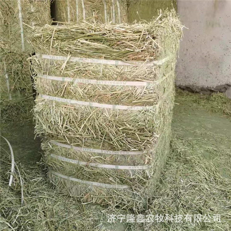 Where can I sell 苜蓿 哪里 哪里 哪里 哪里 哪里 哪里 哪里 哪里 哪里 哪里 哪里 哪里 哪里 哪里 哪里 哪里 哪里 哪里 苜蓿 苜蓿 苜蓿 苜蓿 苜蓿 苜蓿 哪里 哪里 苜蓿 哪里 哪里 哪里 哪里 哪里 哪里 哪里 哪里 哪里 哪里 哪里