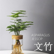 ˮ��ֲ������lؔ���k��������Gֲ���Լ����t����ƿ���ܔ[�����B