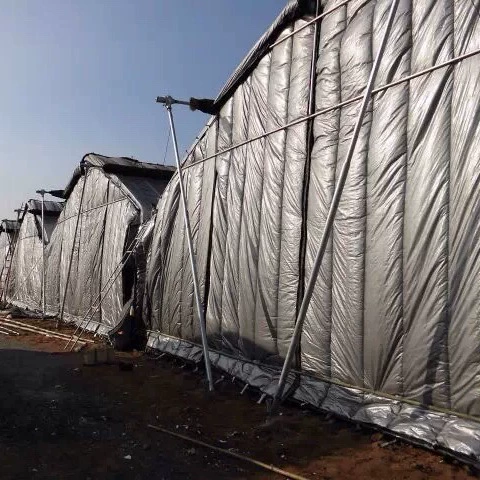 Новый материал: изоляционное одеяло из полиэтилена (ПЭ), тканое полотно для теплиц, оранжерей, теплиц для овощей, утолщенное, устойчивое к холоду, для использования в помещении.