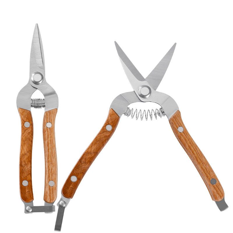 작은 직선 머리