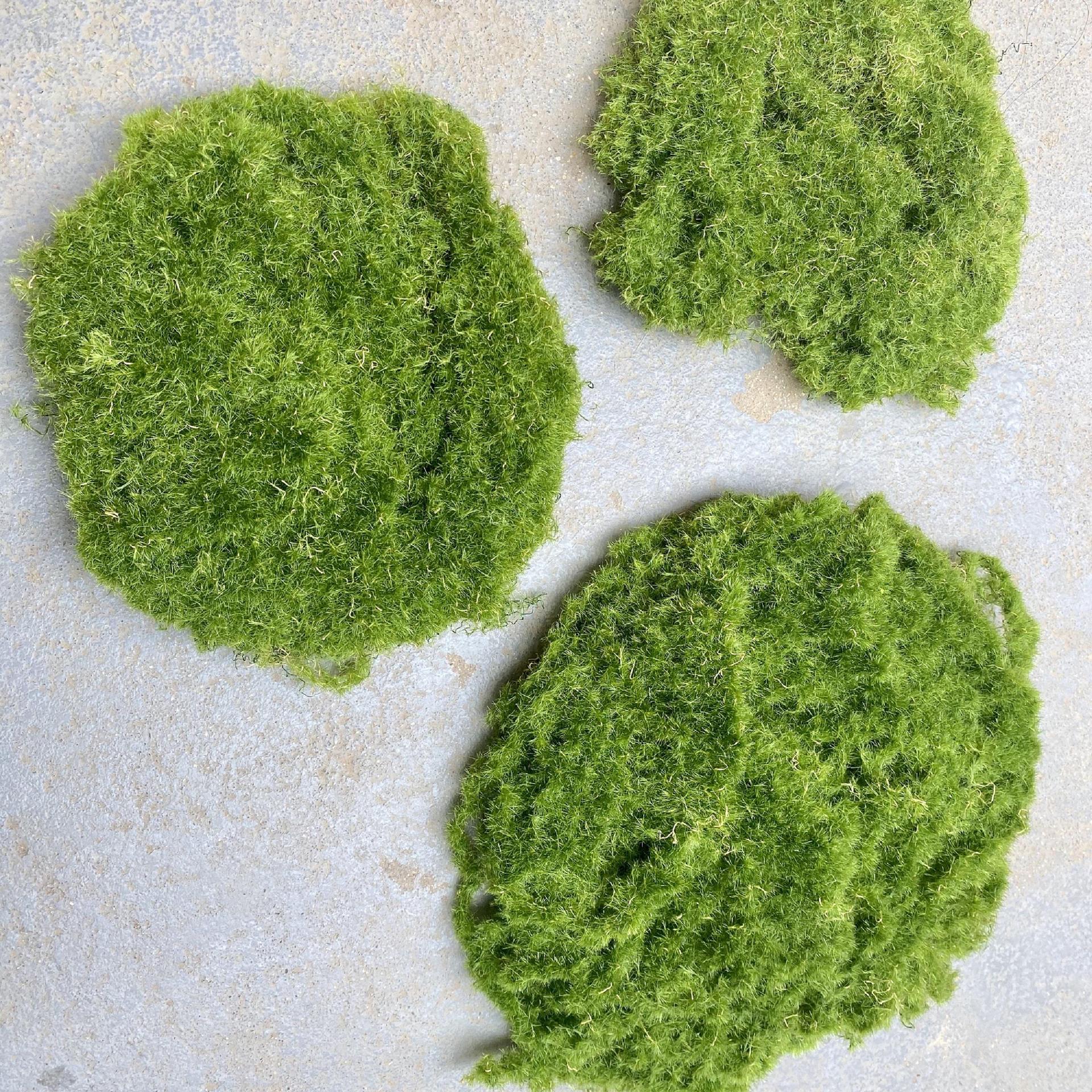 1 piece of tearable spring moss (15-20cm each)