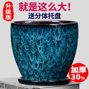 Ceramic Flower Pot for Home Use, Round Shape with Separate Tray, Classical Desktop Flower Pot for Green Plants, Pothos, Clivia, and Succulents
