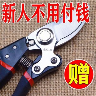 German Craftsmanship Imported Steel Branch Shears, Tree Shears, Fruit Tree Pruning Scissors, Household Flower and Wood Grape Pruning Branches