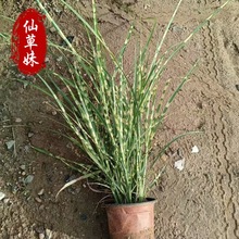 ���~â ˮ���ر�ֲ���^�p�� ���~â ���~ââ�ݾ�â���繤�̾G��