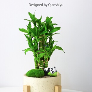 �������ֱ���g�����ԾGֲ���҃ȿ͏d�k���������辰