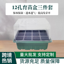 �羳�F؛12������������ױ��ر���͸��@ˇ���B���w���бP����