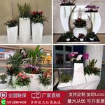 玻璃钢不规则花盆器槽不锈钢铁艺花箱钵缸瓶市政绿化种植异形方箱