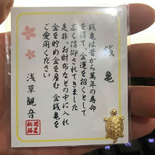 Asakusa, Japan, money turtle, Omori, portable wallet, Omori, lucky word turtle, small golden turtle, Omori, same style