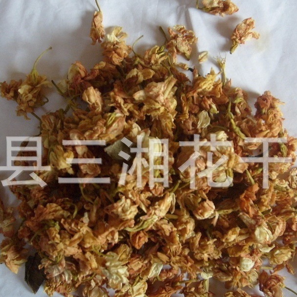 广西南宁横州市茉莉花产地直销，广西横县特产批发供应  茉莉花干