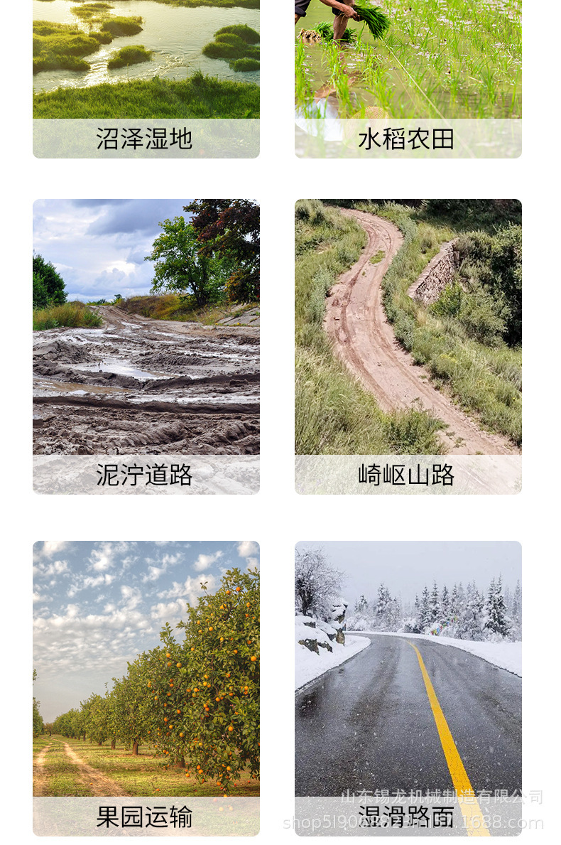 詳情10