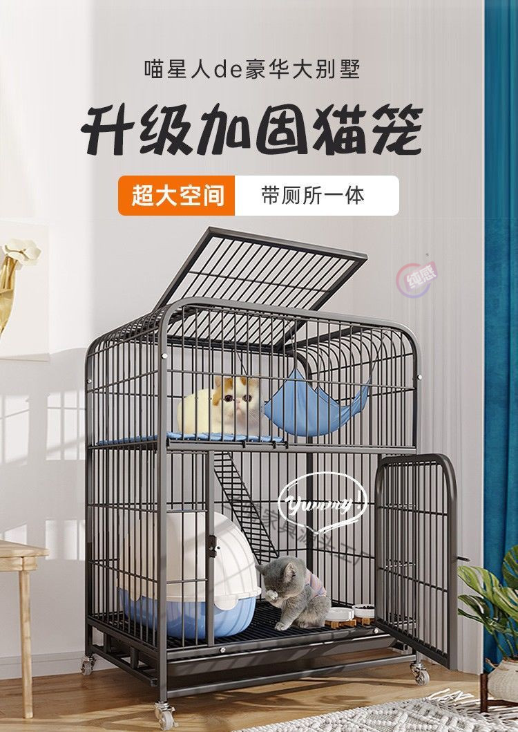 2fdd4d4c-a05a-4935-b1c7-0d97dbd96bbf.jpe