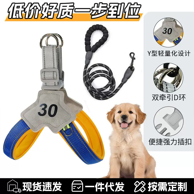 跨境狗狗牵引绳胸背狗胸背新款狗绳p绳宠物胸背狗小型犬外出批发