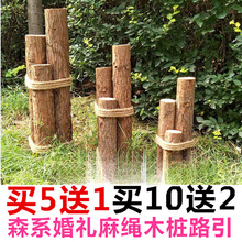 �¿�ɭϵ��c���K�䘶ľ��·����ľ�[��