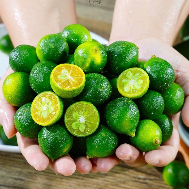 Сбор фруктового сада