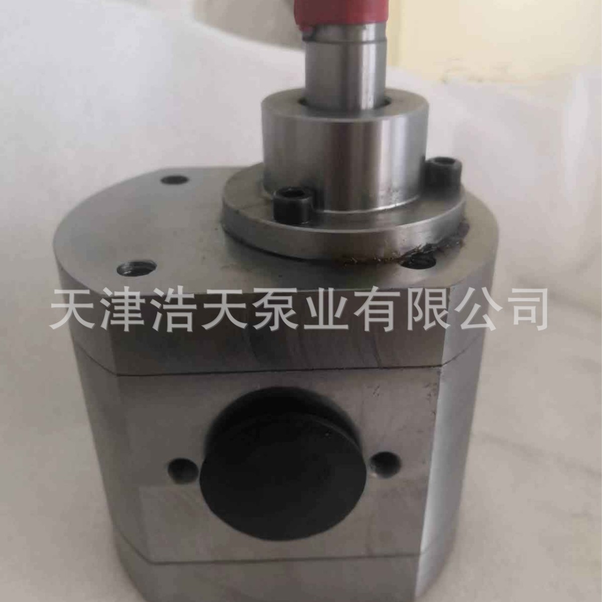 灌缝沥青齿轮泵TDGF 柴油 机油 润滑油 稠油 胶水 树脂齿轮泵