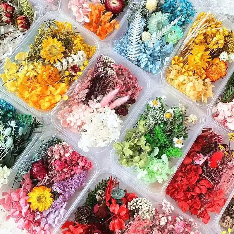 Paquete mixto de bricolaje, decoración hecha a mano, flor eterna, material de paquete de flores secas, marco de fotos de bricolaje, paquete de flores en relieve, día de la mujer